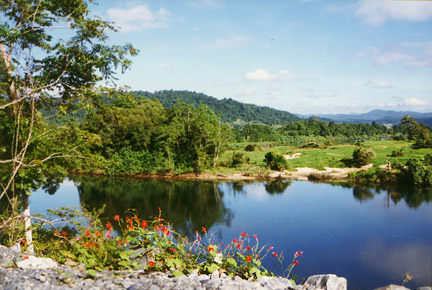 Ausy.daintree.river2.jpg