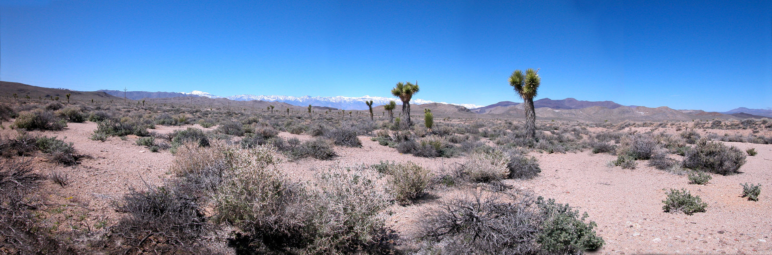 Exit
                  391