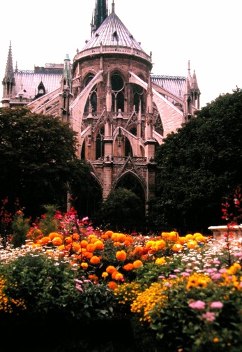 Notre Dame
                  Flowers