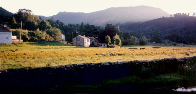 Pattersdale Farm