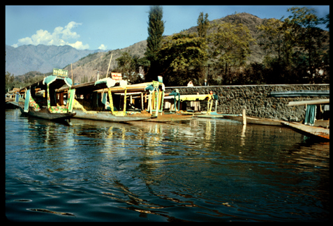 India.kashmir.boats.72.jpg