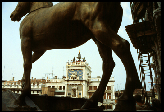 Italy.Venice.horse.72.jpg