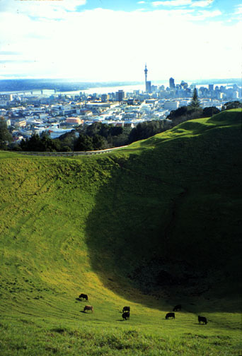 NZ.aukland.72.jpg