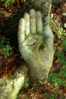 Buddha hand