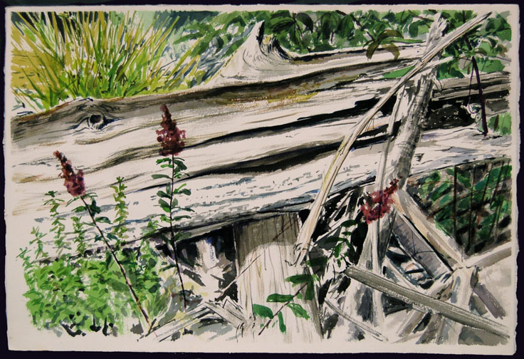 La Conner Driftwood