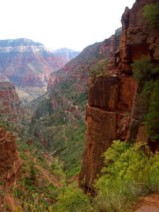 North Kaibab trail