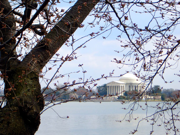 Jefferson Memorial