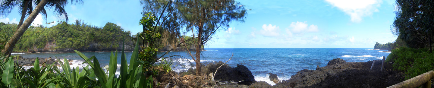 Tropical Garden, Kona Coast, Hawaii