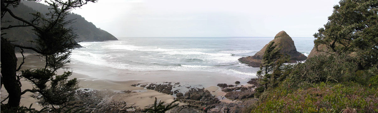 Beach
                north of Yachats