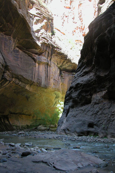 Zion
                    National Park river